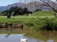 Natural hazards at Devon Vale golf course during golf holiday at KapVino Estate