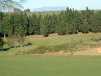 Natural hazards at Devon Vale golf course