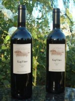 KapVino Shiraz 2005 with wine glasses