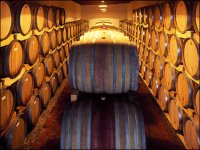 KapVino Wine Cellar