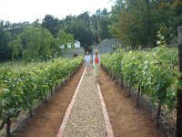 KapVino Wine Street